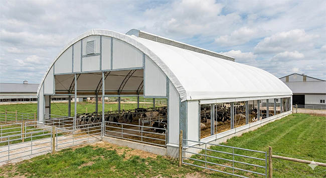 Hayvan Barınakları